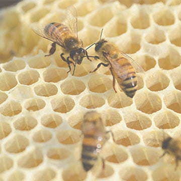 4 California Brands We're Buzzing About