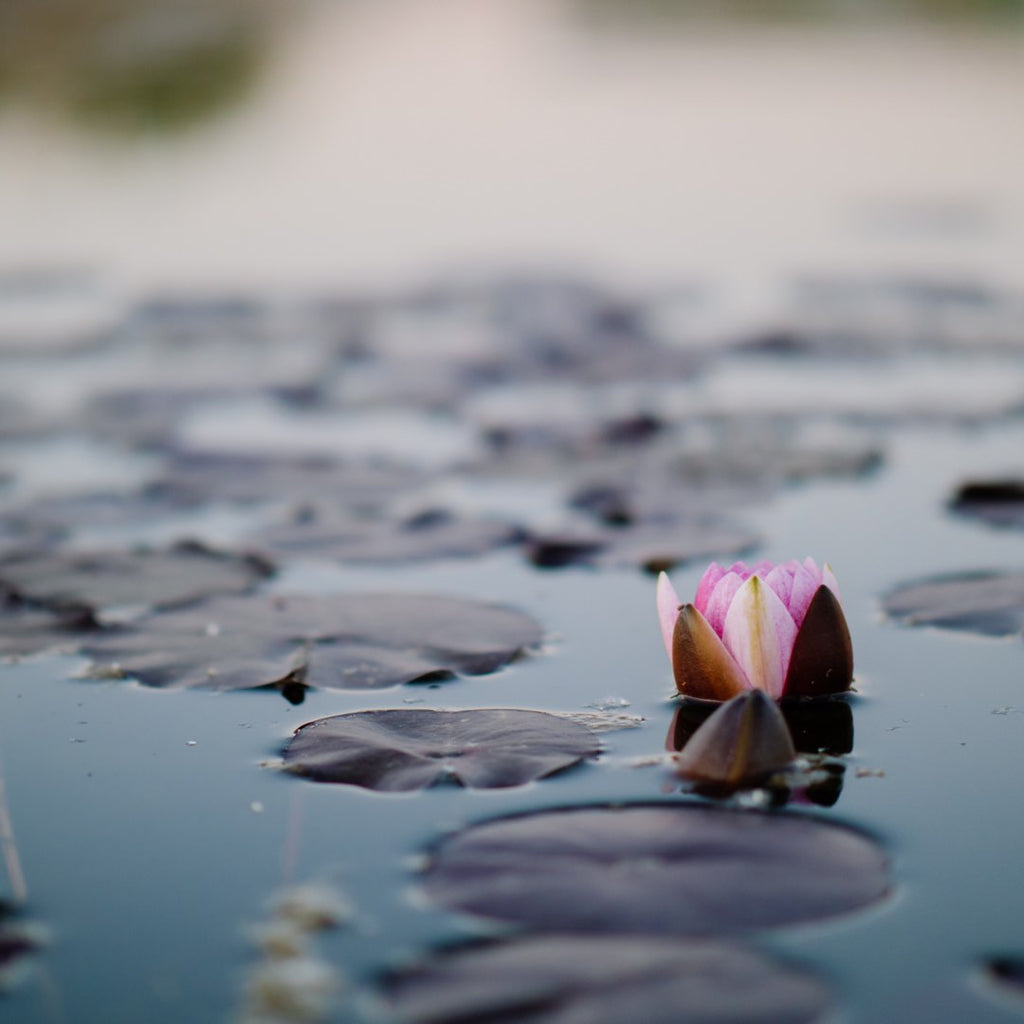 4 Easy Ways to Be Mindful This Summer