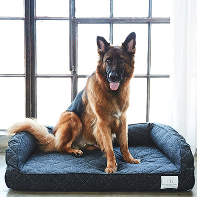 Natural Spray to Eliminate Pet Odors